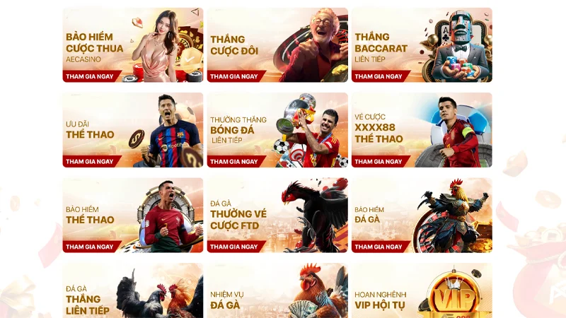 Khuyến Mãi AE888 Cần đáp ứng đầy đủ yêu cầu để nhận về khuyến mãi như ý